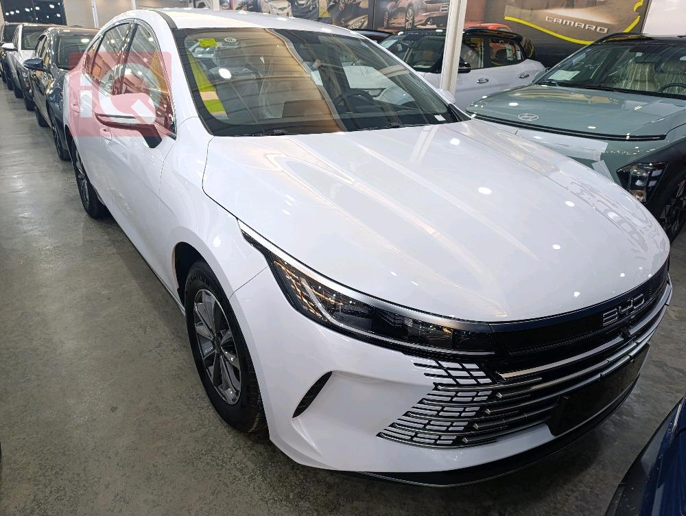 BYD Destroyer 05